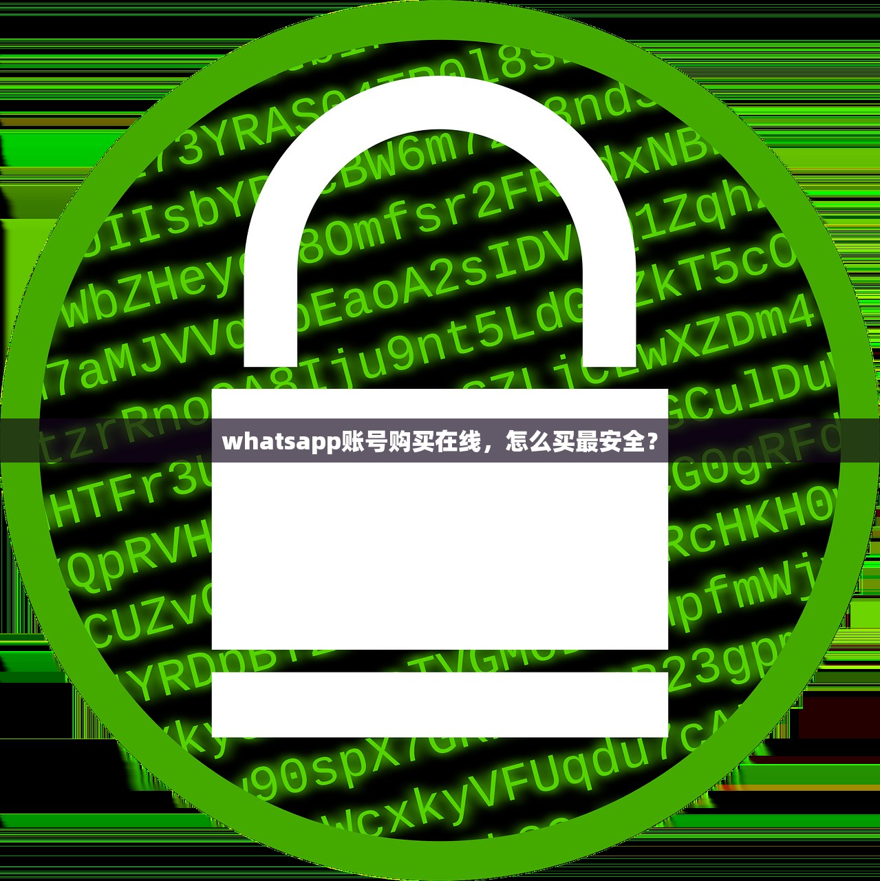 whatsapp账号购买在线,怎么买最安全?