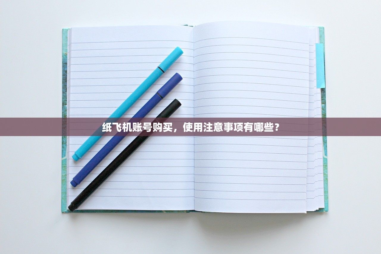 纸飞机账号购买,使用注意事项有哪些?