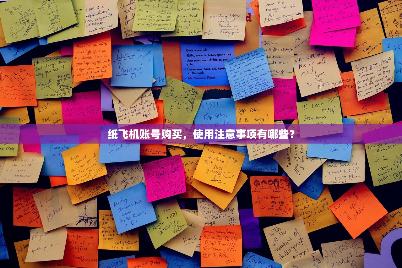 纸飞机账号购买,使用注意事项有哪些?