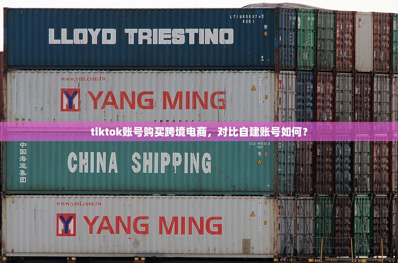 tiktok账号购买跨境电商,对比自建账号如何?