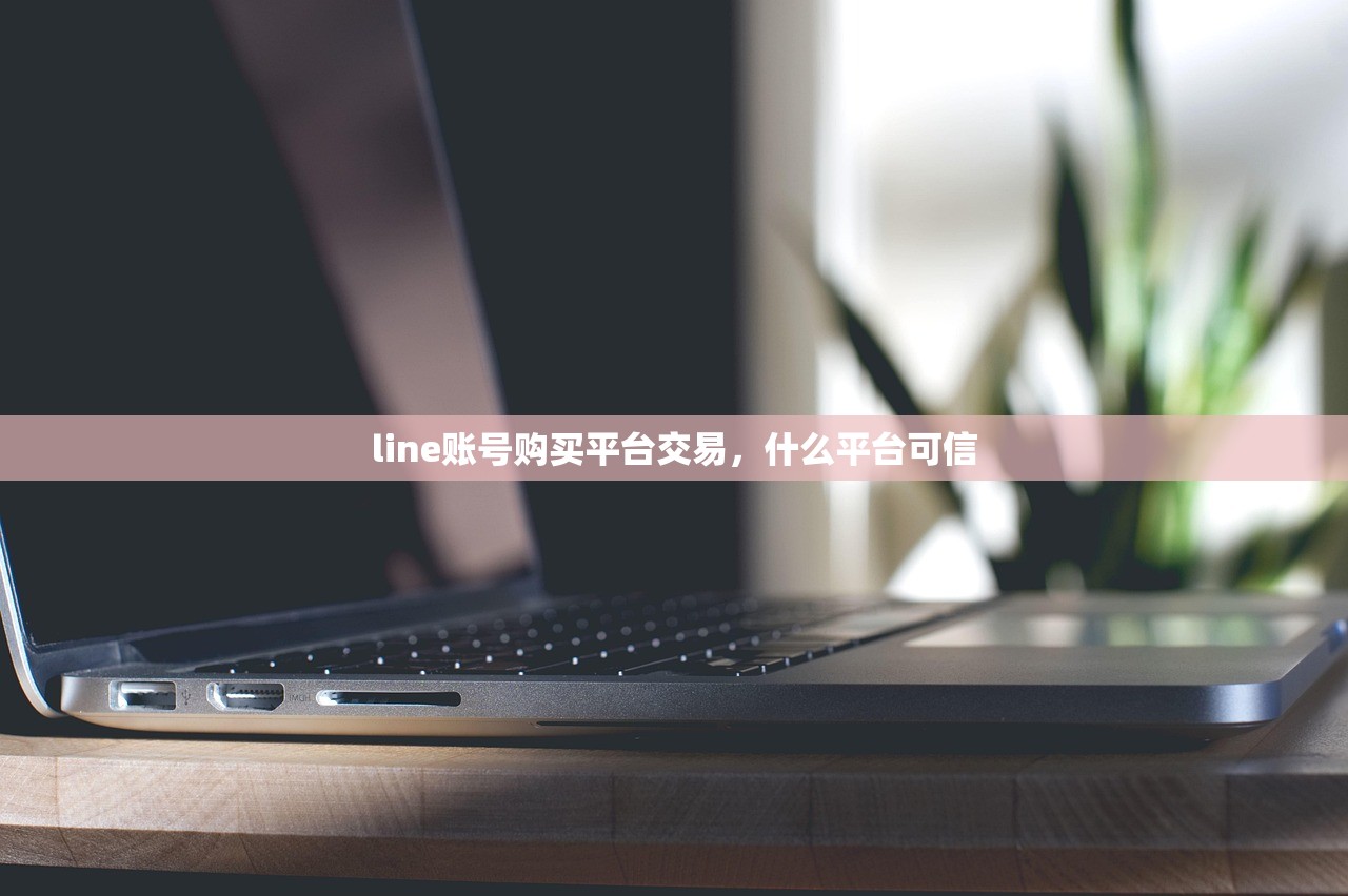 line账号购买平台交易,什么平台可信