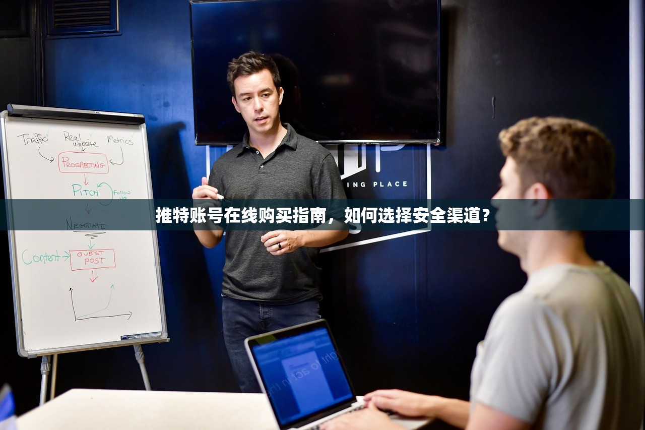 推特账号在线购买指南,如何选择安全渠道?