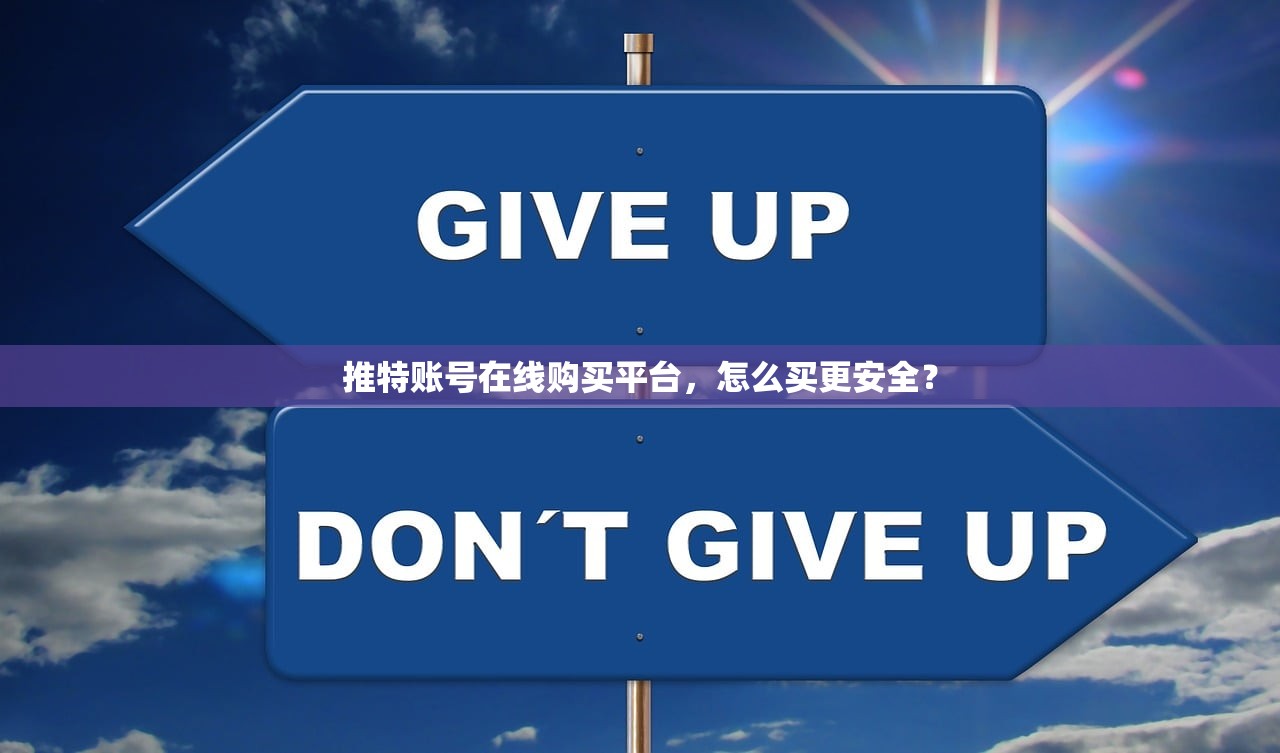 推特账号在线购买平台,怎么买更安全?