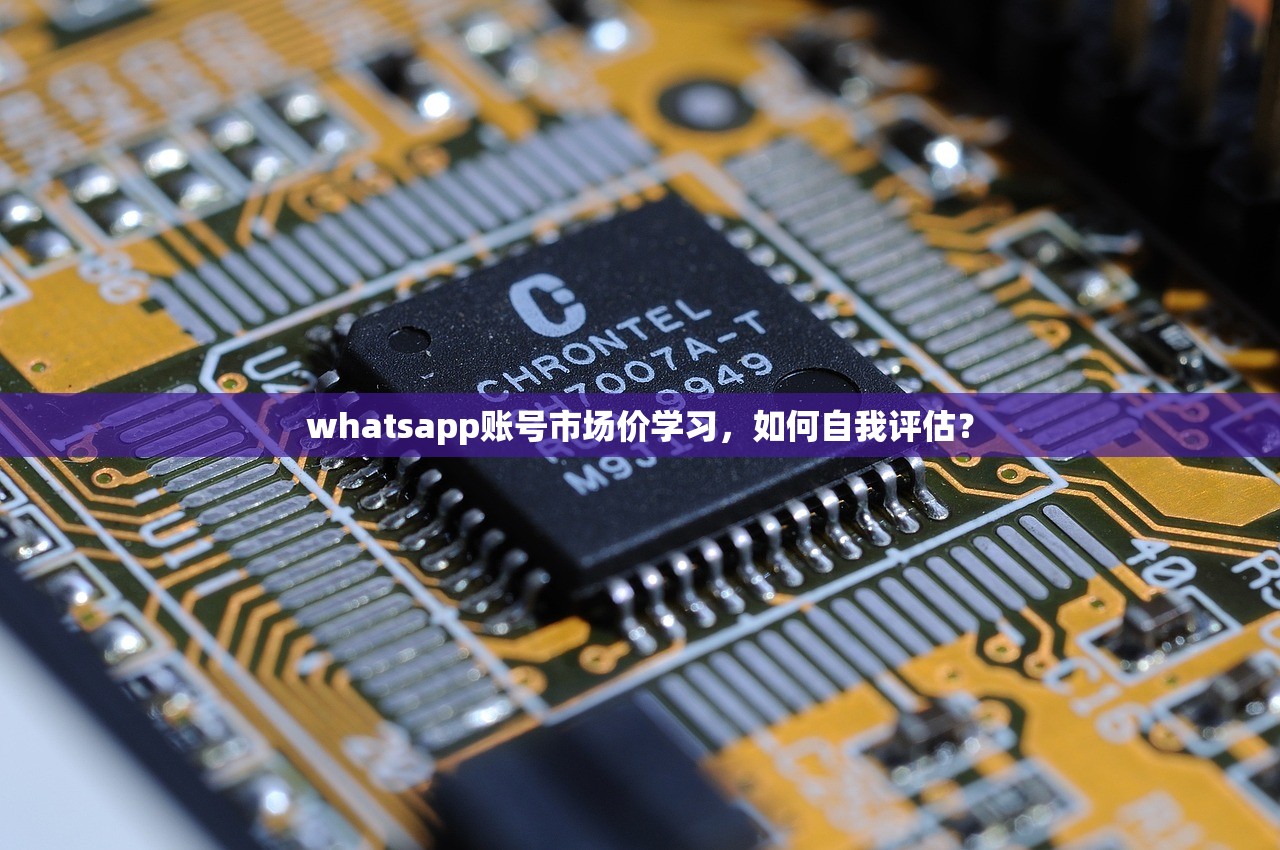 whatsapp账号市场价学习,如何自我评估?