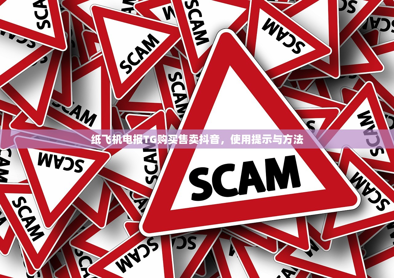 纸飞机电报TG购买售卖抖音,使用提示与方法
