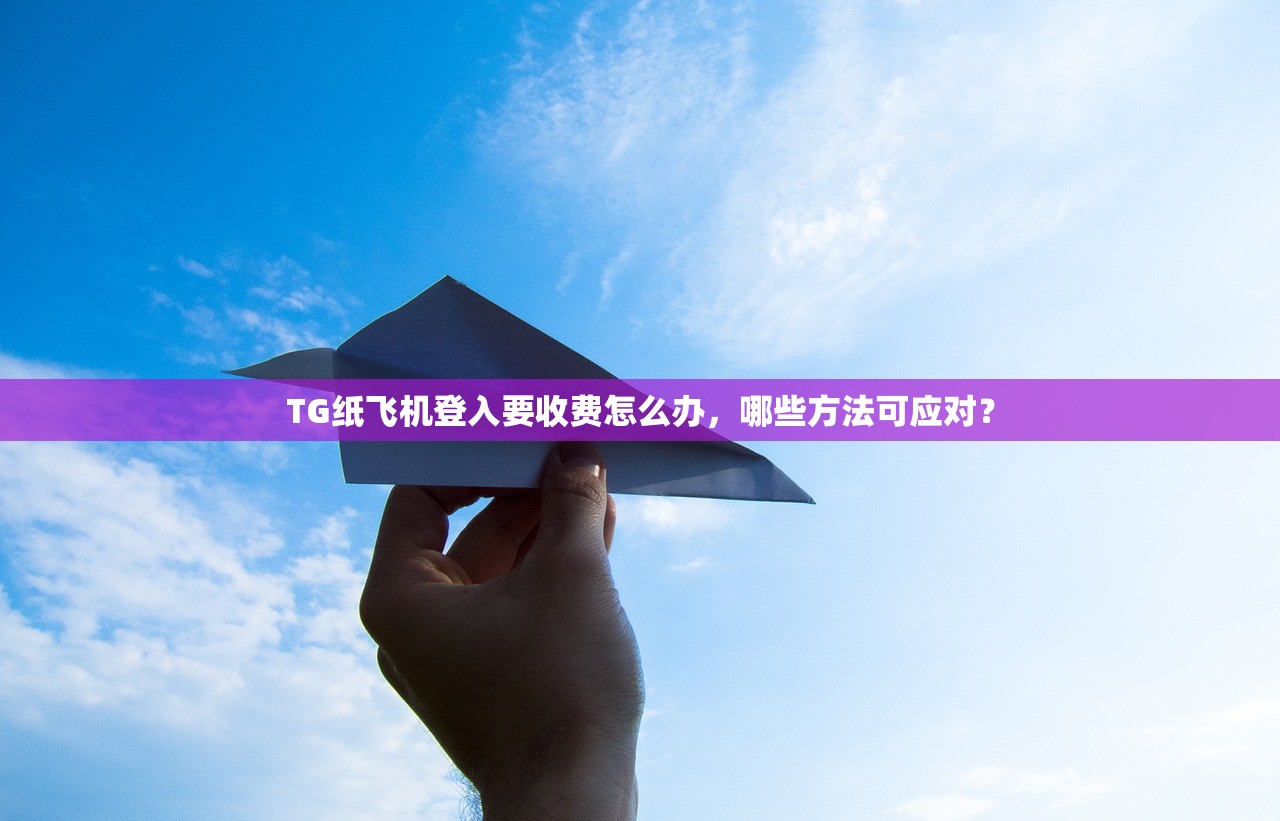 TG纸飞机登入要收费怎么办,哪些方法可应对?