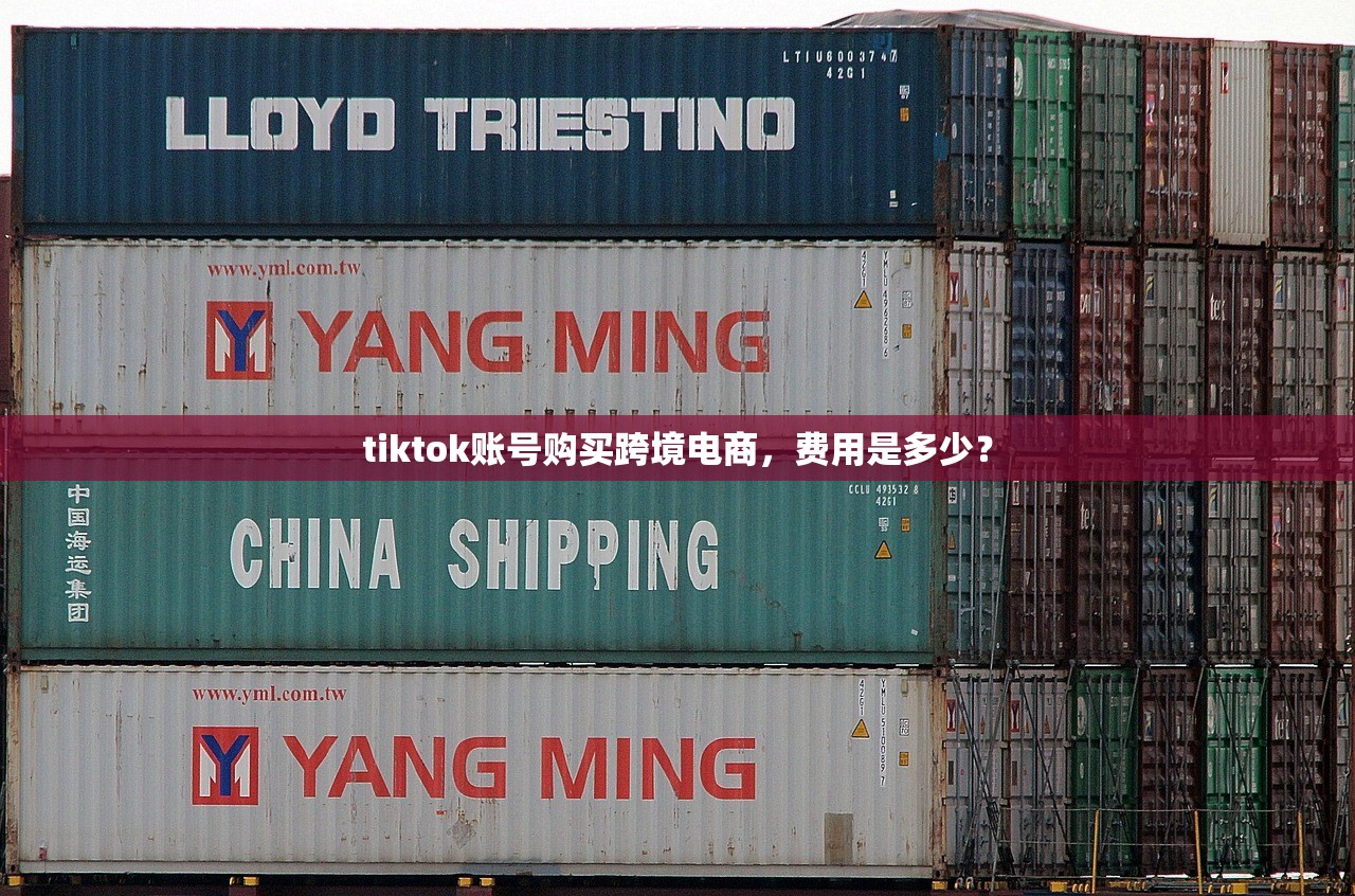 tiktok账号购买跨境电商，费用是多少？