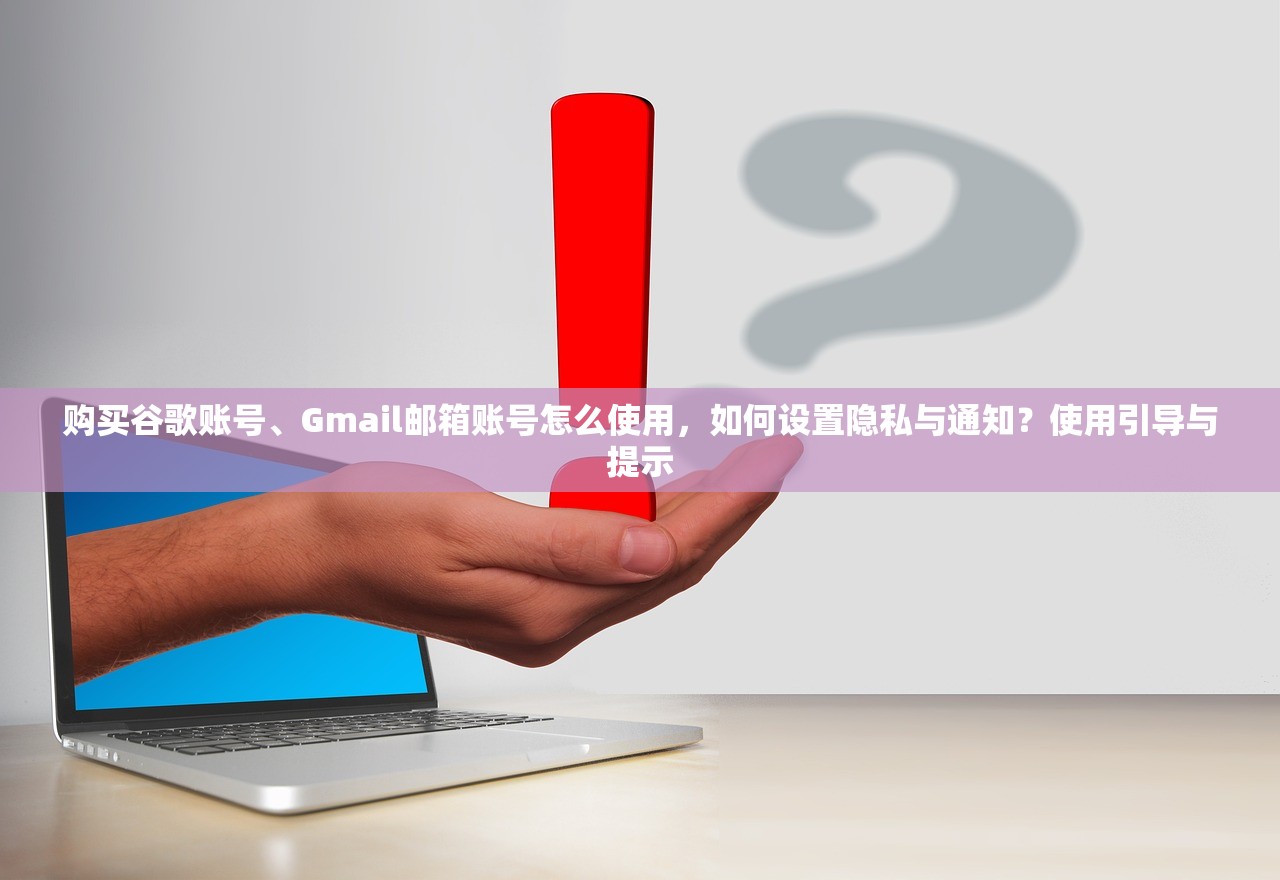 购买谷歌账号、Gmail邮箱账号怎么使用，如何设置隐私与通知？使用引导与提示