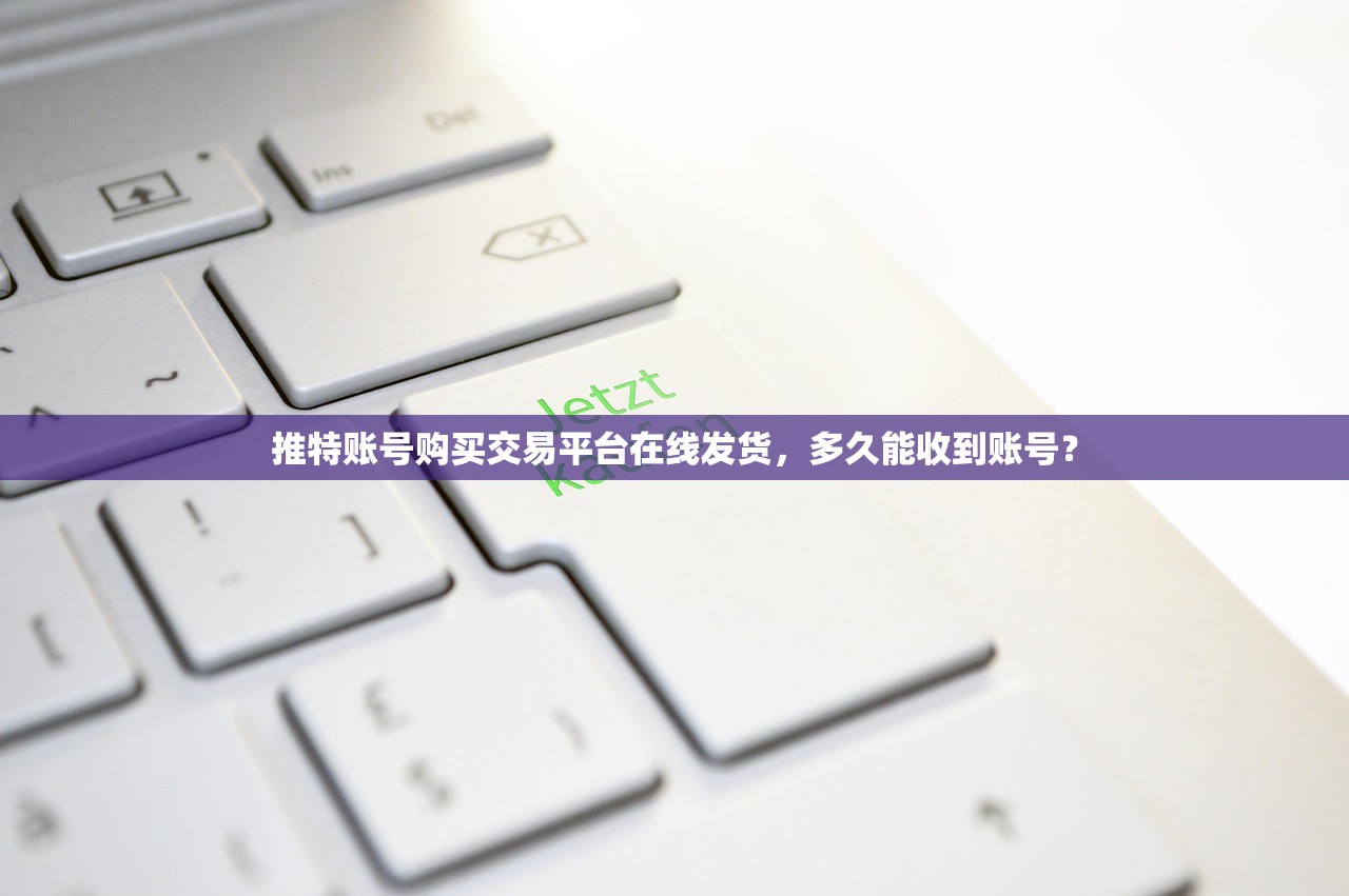推特账号购买交易平台在线发货，多久能收到账号？