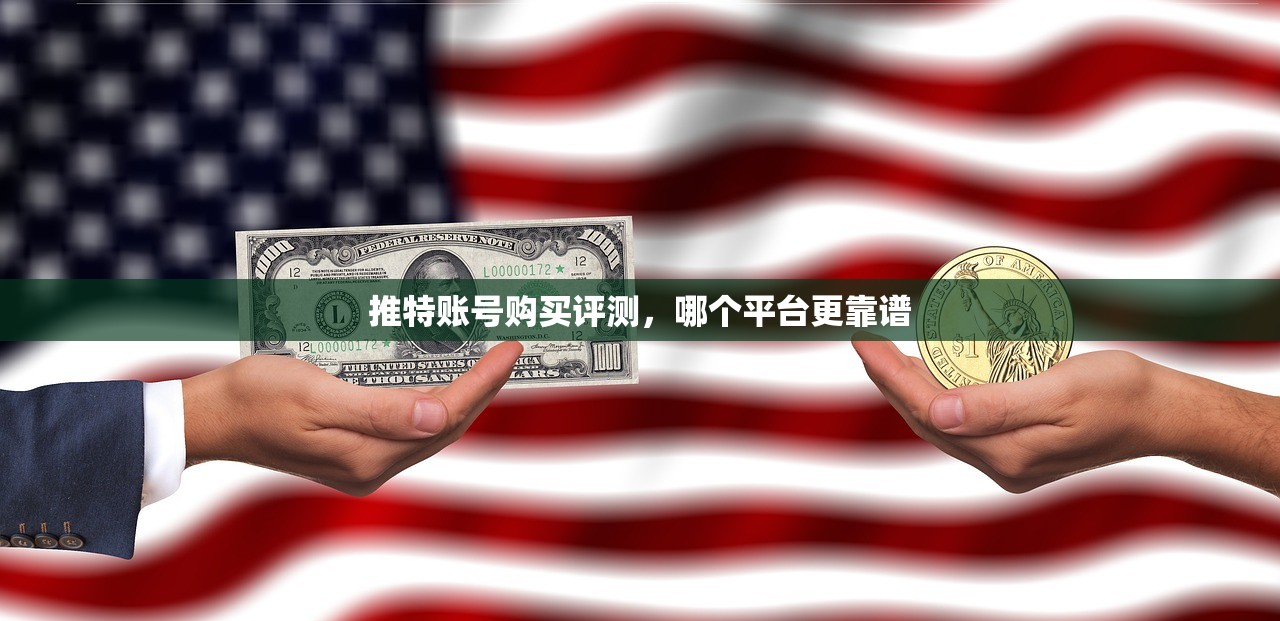 推特账号购买评测,哪个平台更靠谱