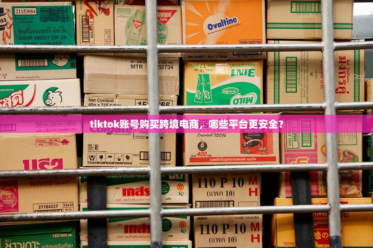 tiktok账号购买跨境电商，哪些平台更安全？