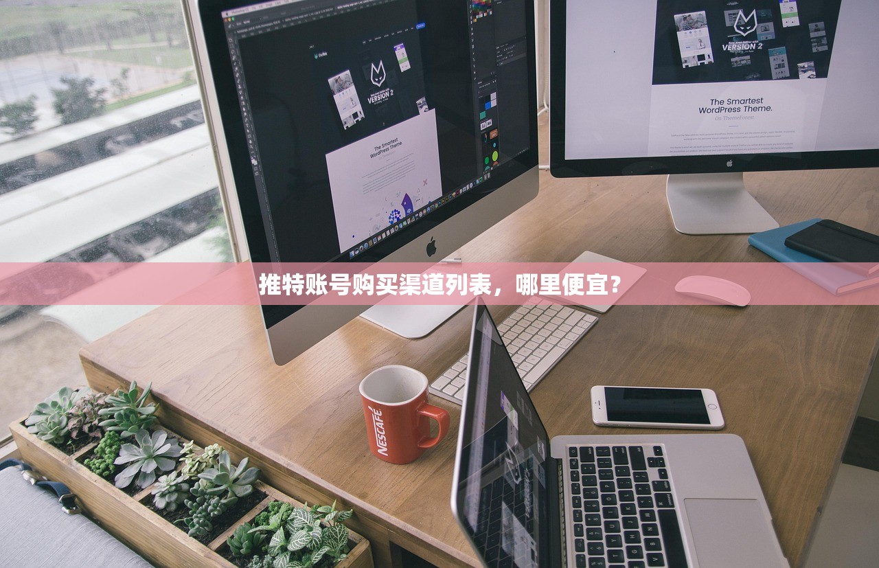 推特账号购买渠道列表,哪里便宜?