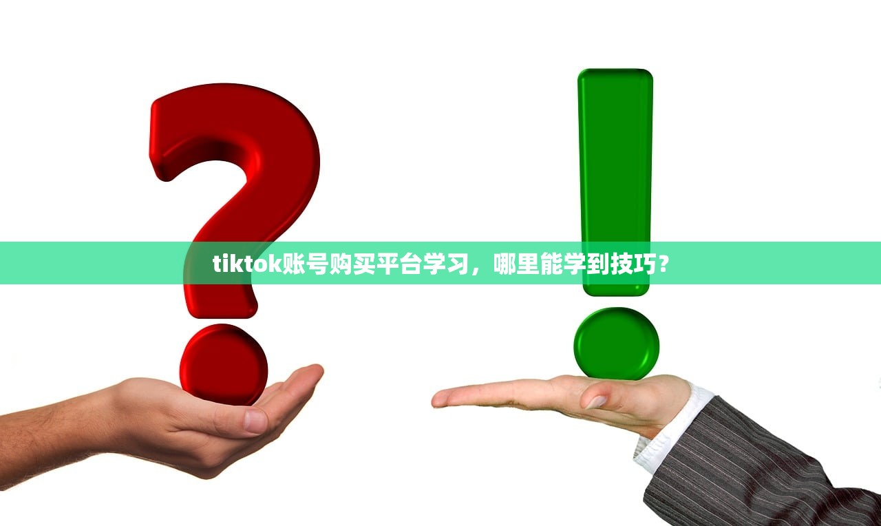 tiktok账号购买平台学习,哪里能学到技巧?