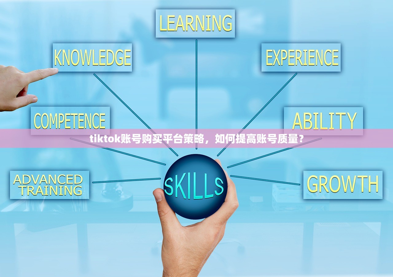 tiktok账号购买平台策略,如何提高账号质量?