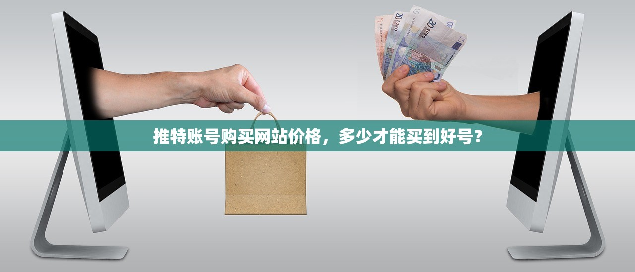 推特账号购买网站价格,多少才能买到好号?