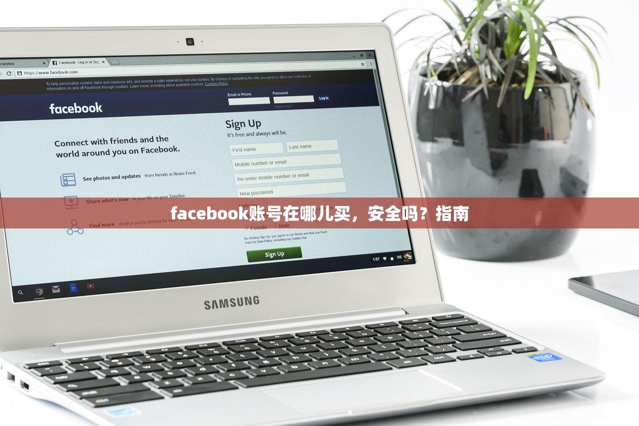 facebook账号在哪儿买,安全吗?指南