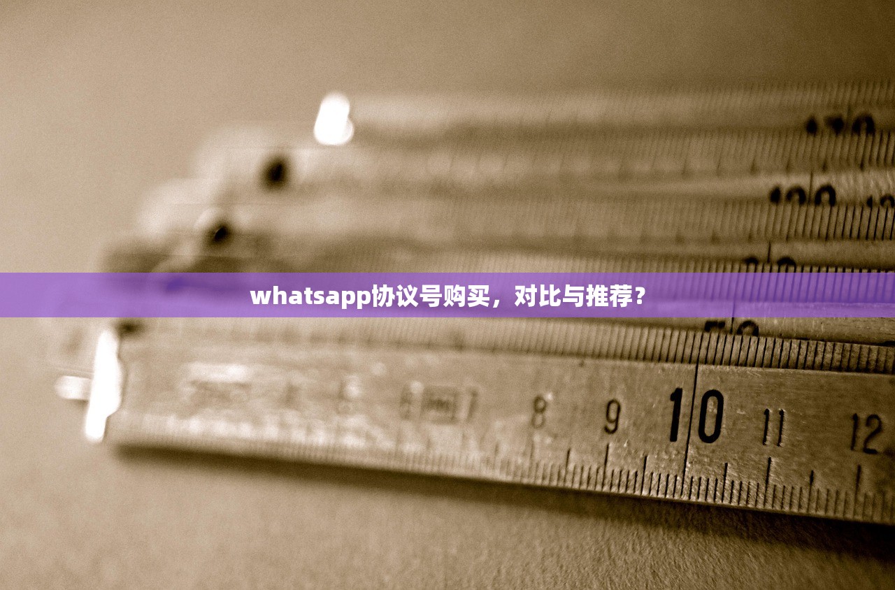 whatsapp协议号购买，对比与推荐？