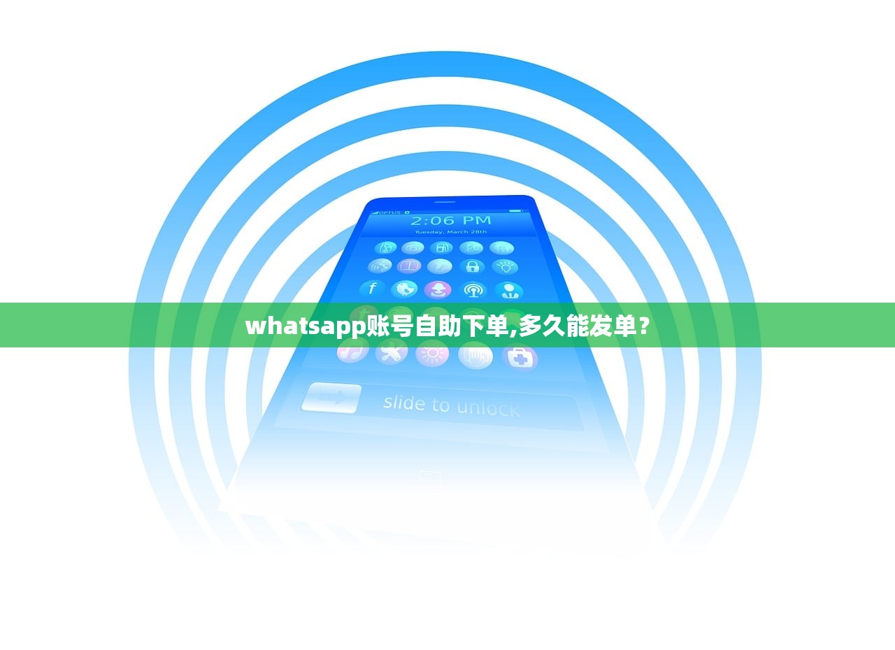 whatsapp账号自助下单,多久能发单?