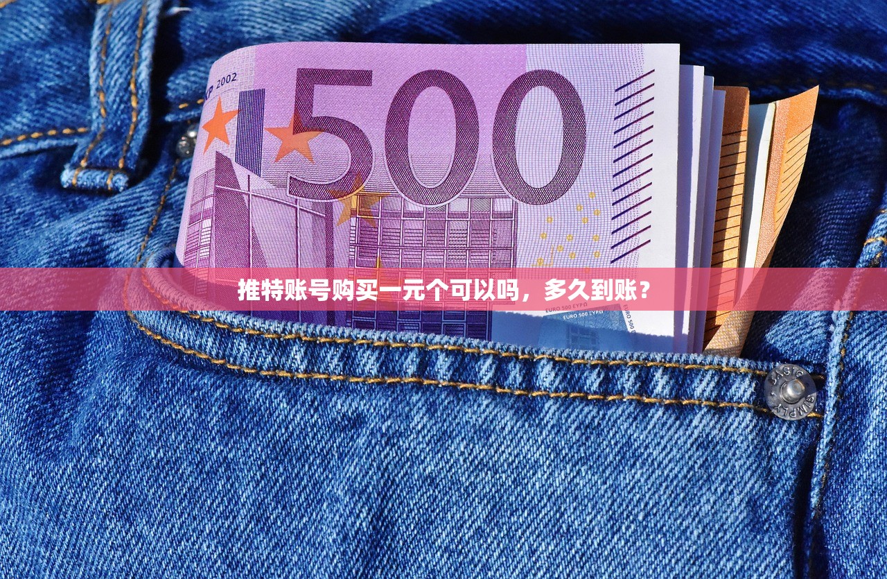 推特账号购买一元个可以吗,多久到账?