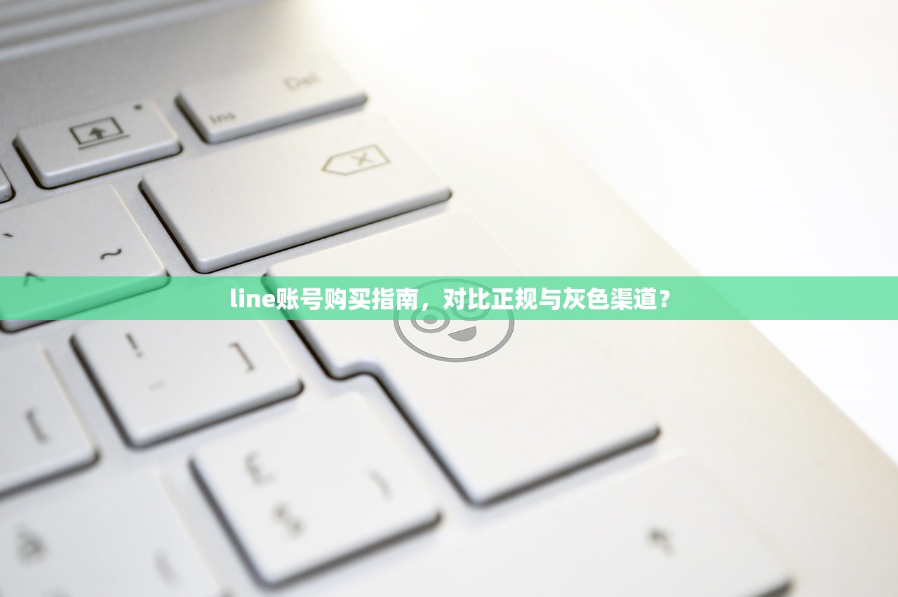 line账号购买指南,对比正规与灰色渠道?