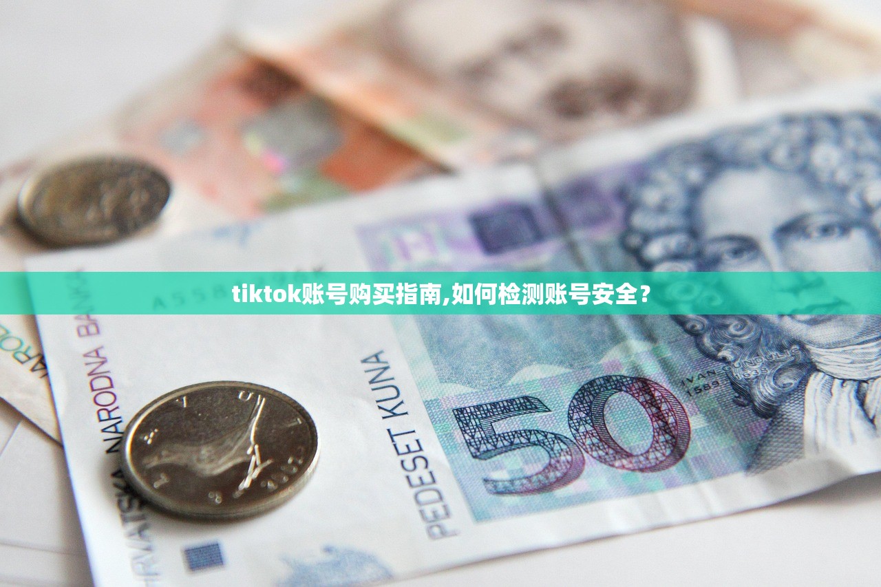 tiktok账号购买指南,如何检测账号安全?