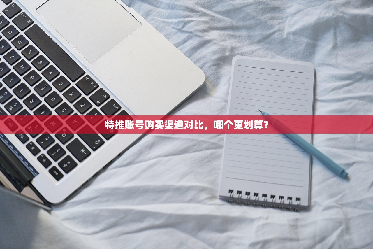 特推账号购买渠道对比,哪个更划算?