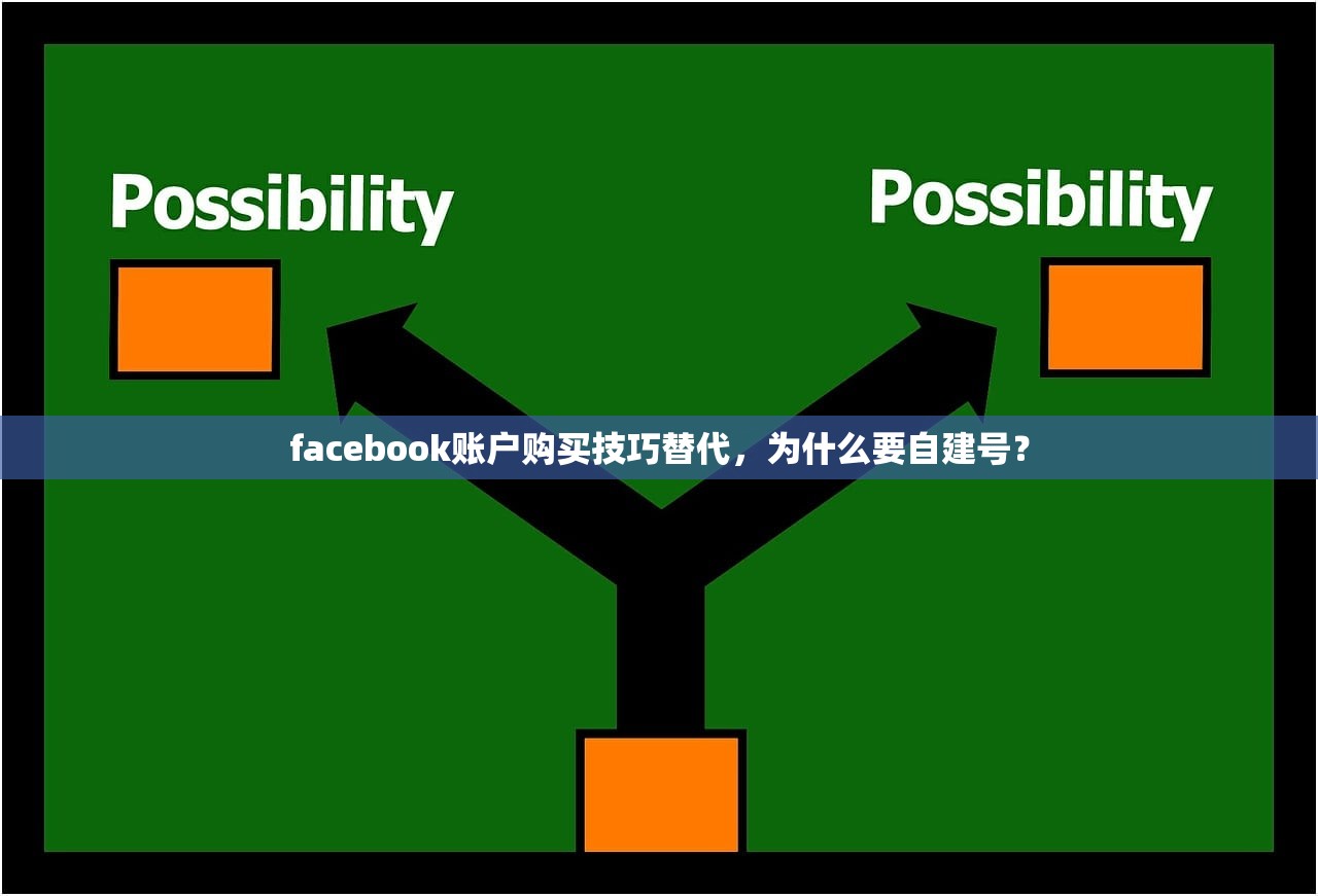 facebook账户购买技巧替代,为什么要自建号?