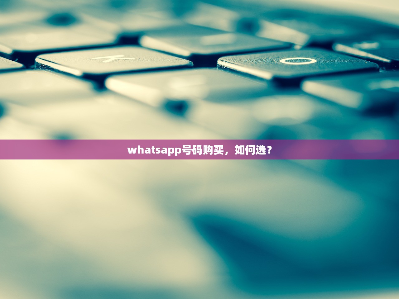 whatsapp号码购买,如何选?