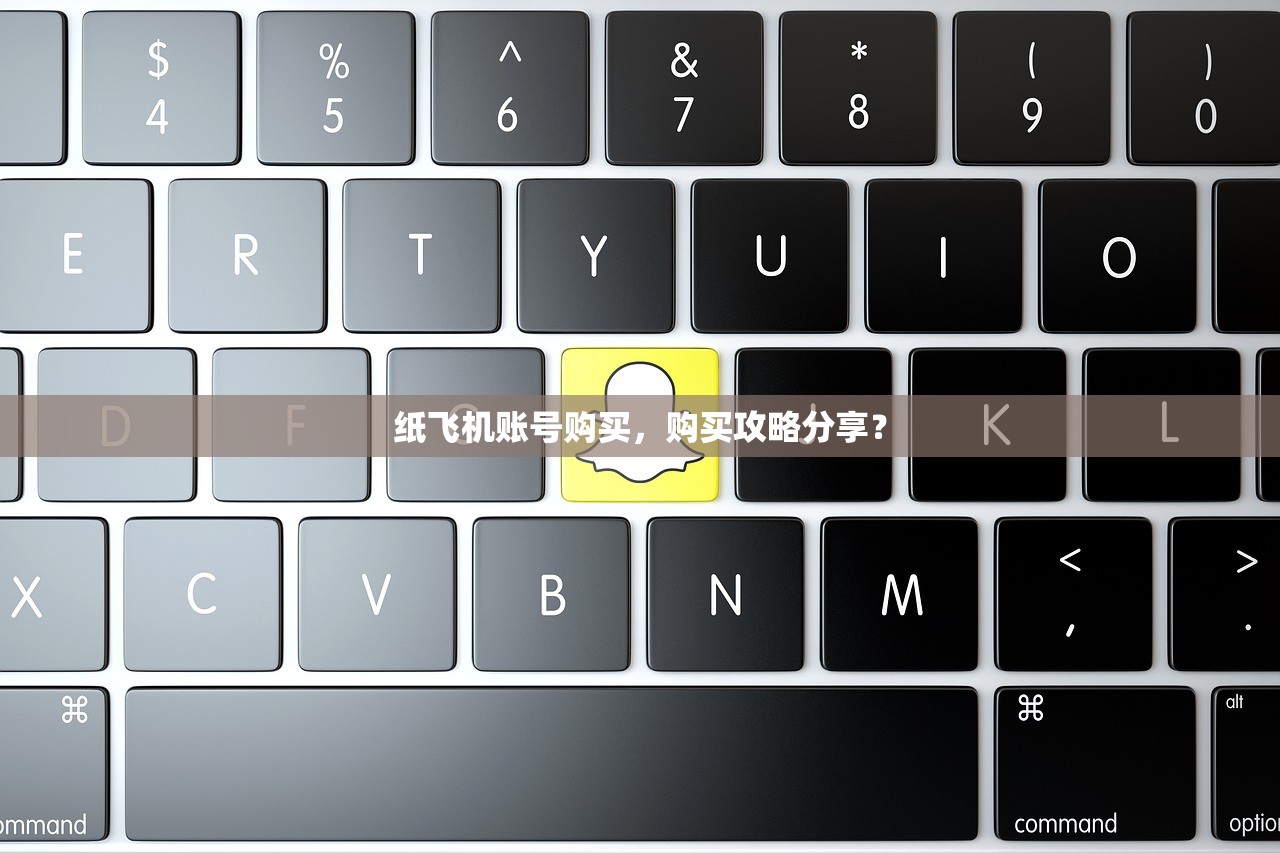 纸飞机账号购买，购买攻略分享？