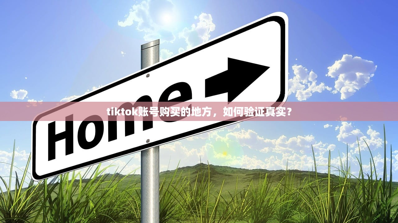 tiktok账号购买的地方，如何验证真实？