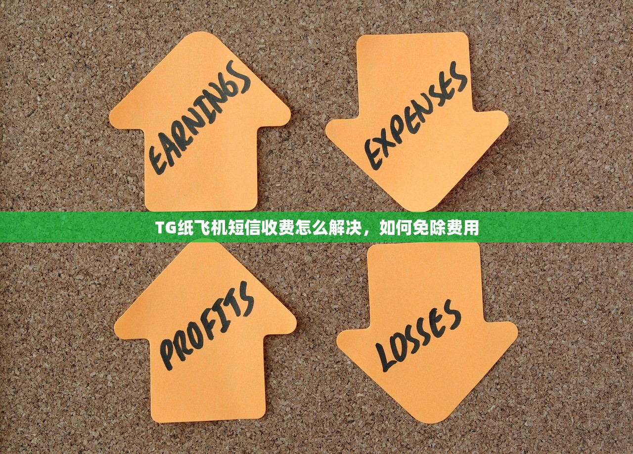 TG纸飞机短信收费怎么解决，如何免除费用