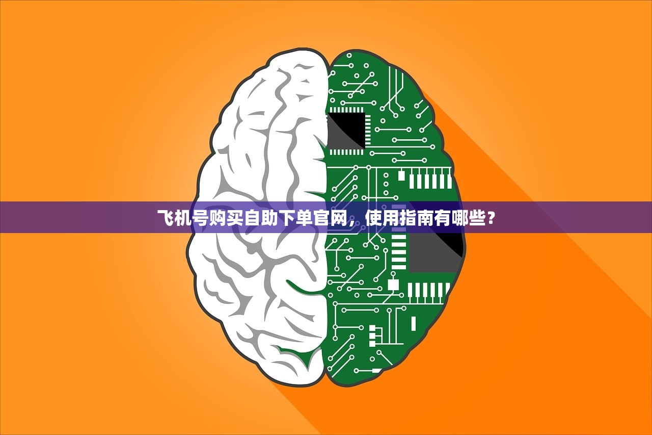飞机号购买自助下单官网,使用指南有哪些?