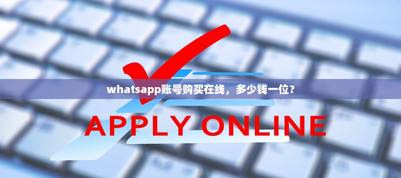 whatsapp账号购买在线，多少钱一位？