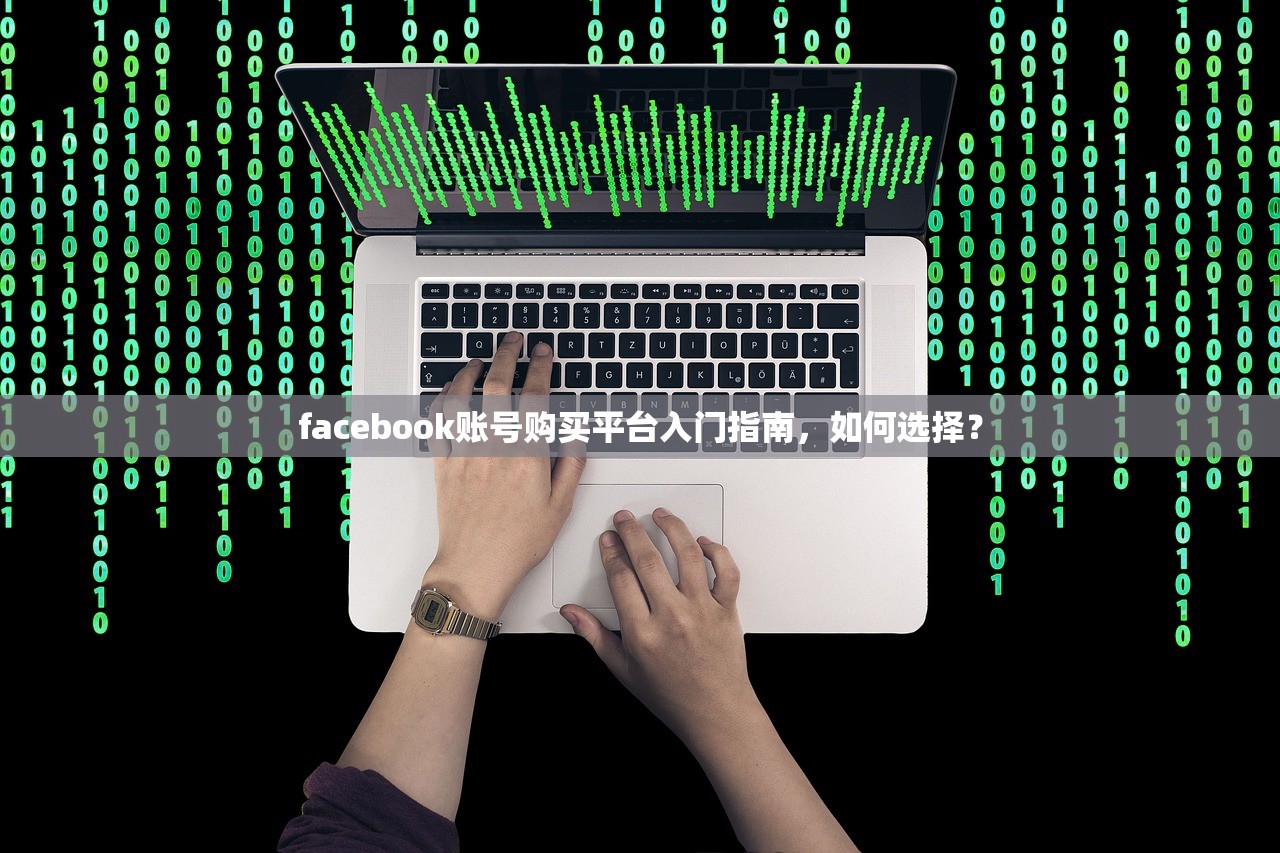 facebook账号购买平台入门指南,如何选择?