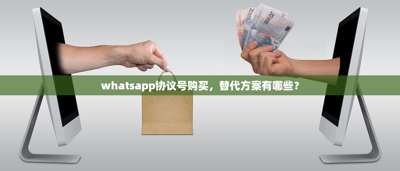 whatsapp协议号购买,替代方案有哪些?