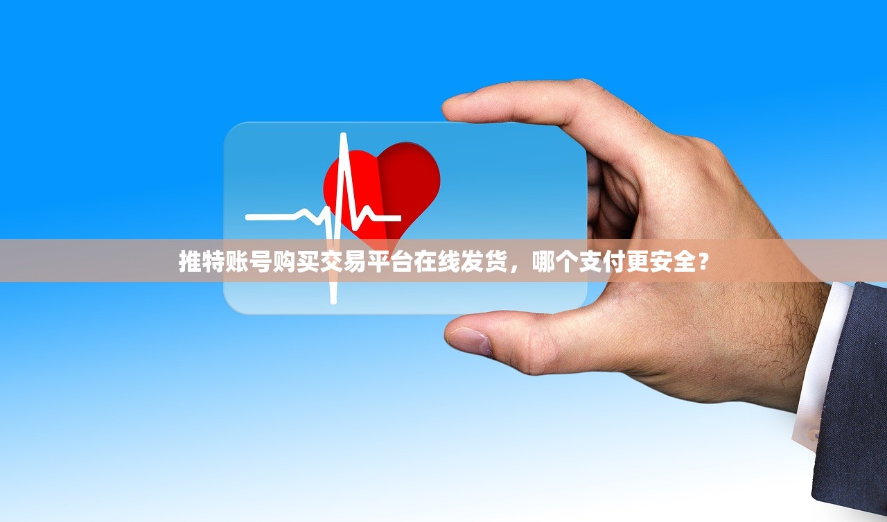 推特账号购买交易平台在线发货，哪个支付更安全？