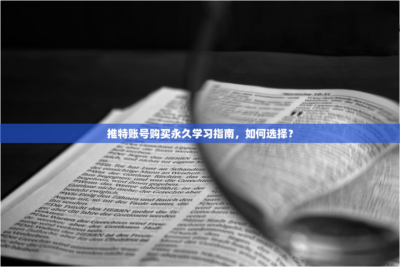 推特账号购买永久学习指南，如何选择？