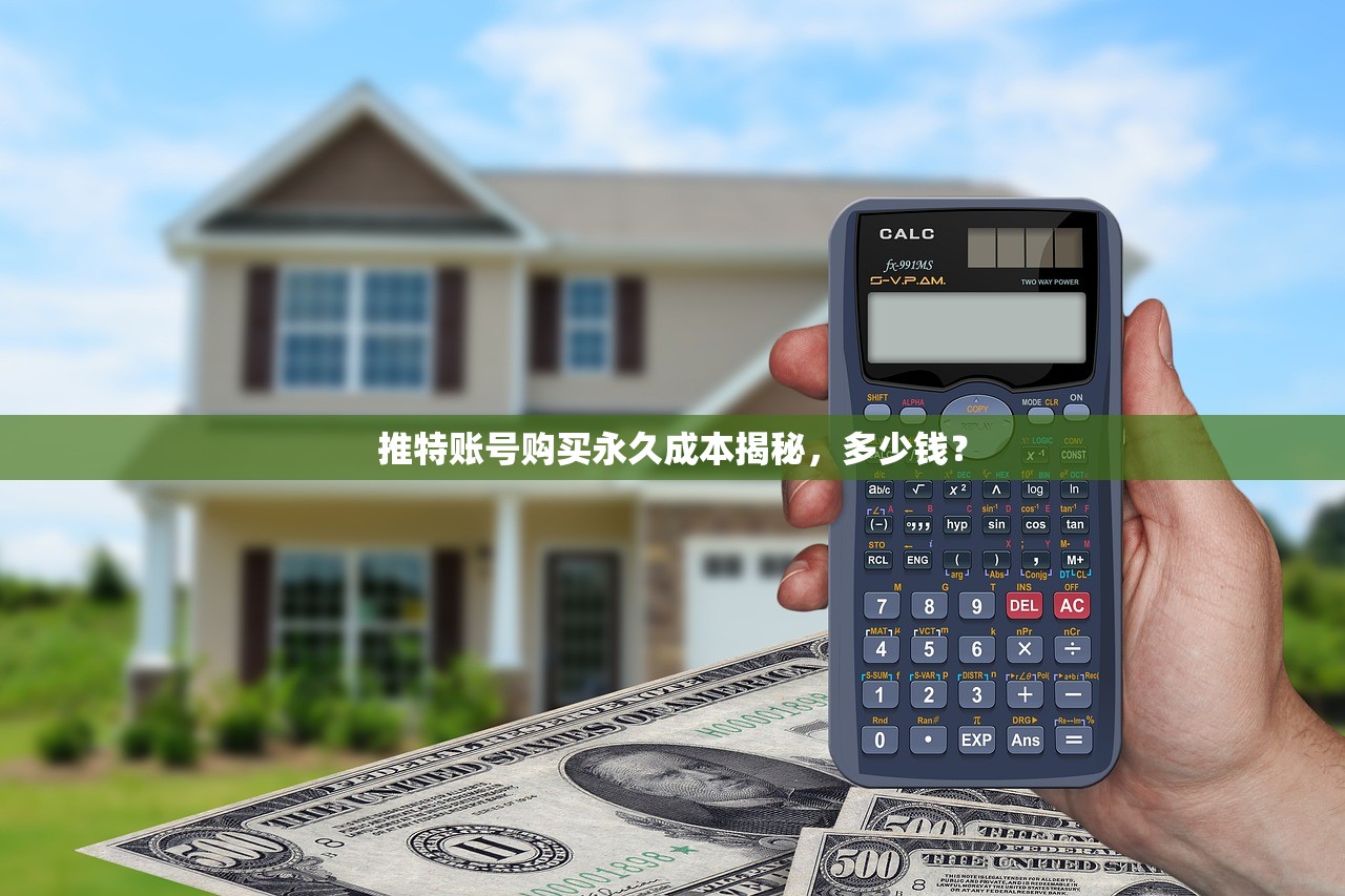 推特账号购买永久成本揭秘，多少钱？