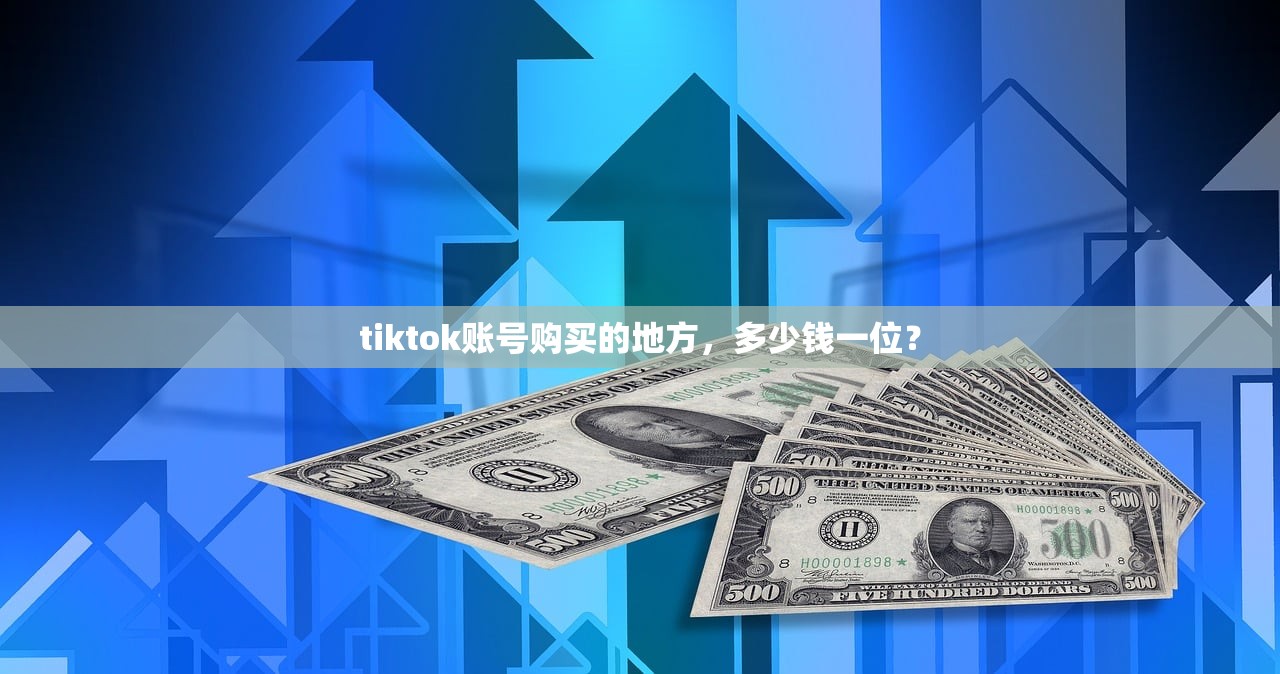 tiktok账号购买的地方，多少钱一位？