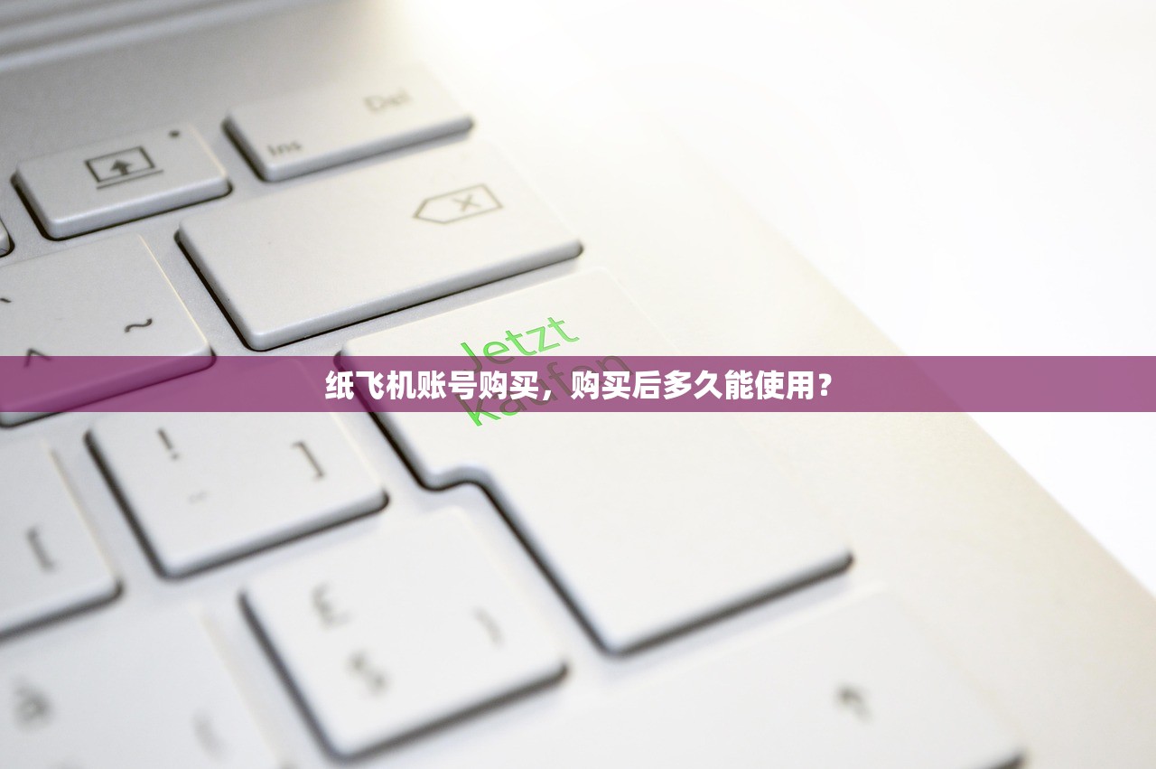 纸飞机账号购买，购买后多久能使用？