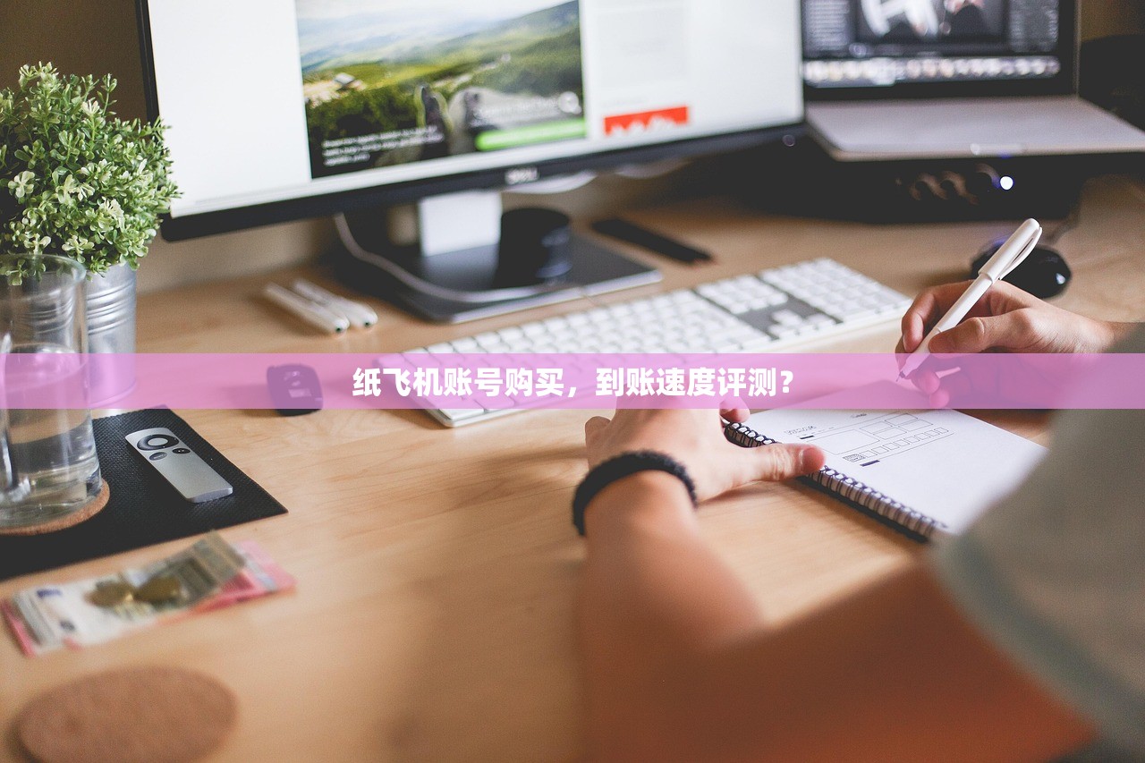 纸飞机账号购买，到账速度评测？