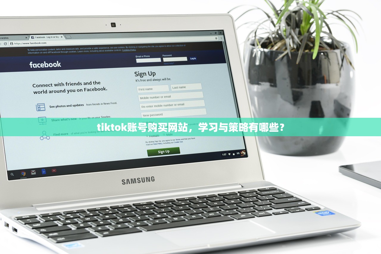 tiktok账号购买网站,学习与策略有哪些?