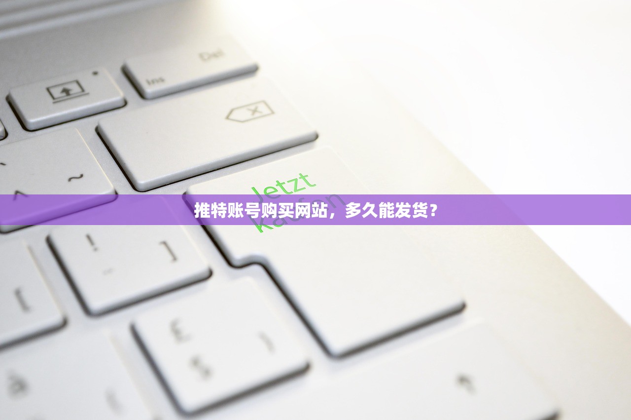 推特账号购买网站,多久能发货?