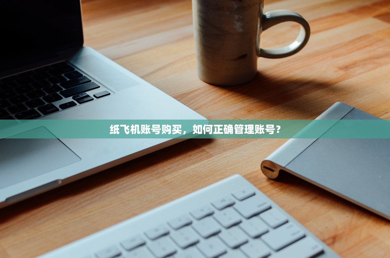 纸飞机账号购买，如何正确管理账号？