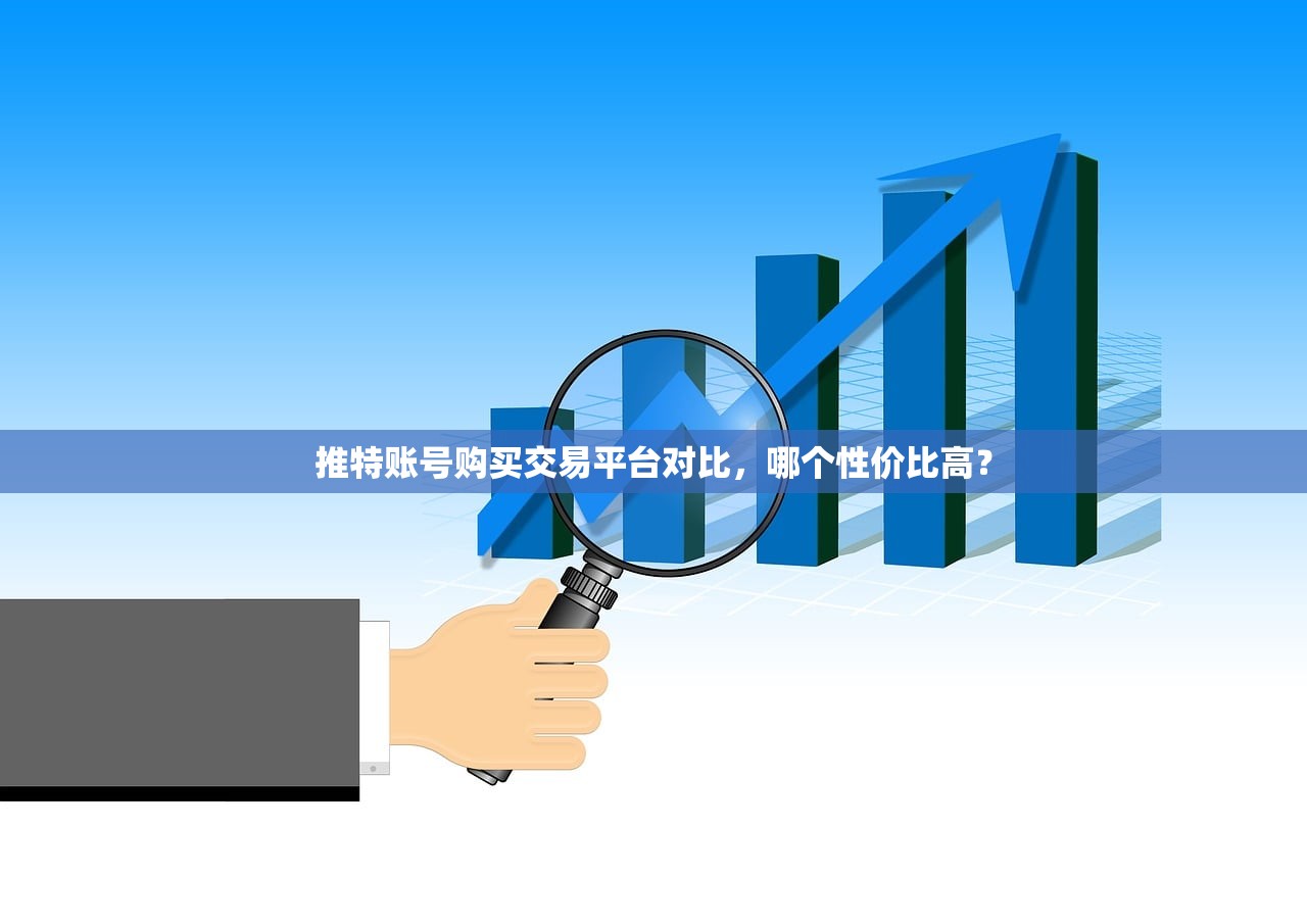 推特账号购买交易平台对比，哪个性价比高？