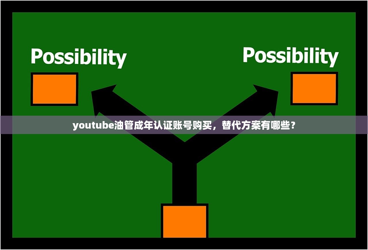 youtube油管成年认证账号购买，替代方案有哪些？