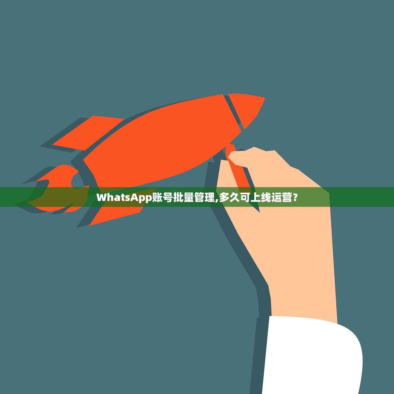 WhatsApp账号批量管理,多久可上线运营?