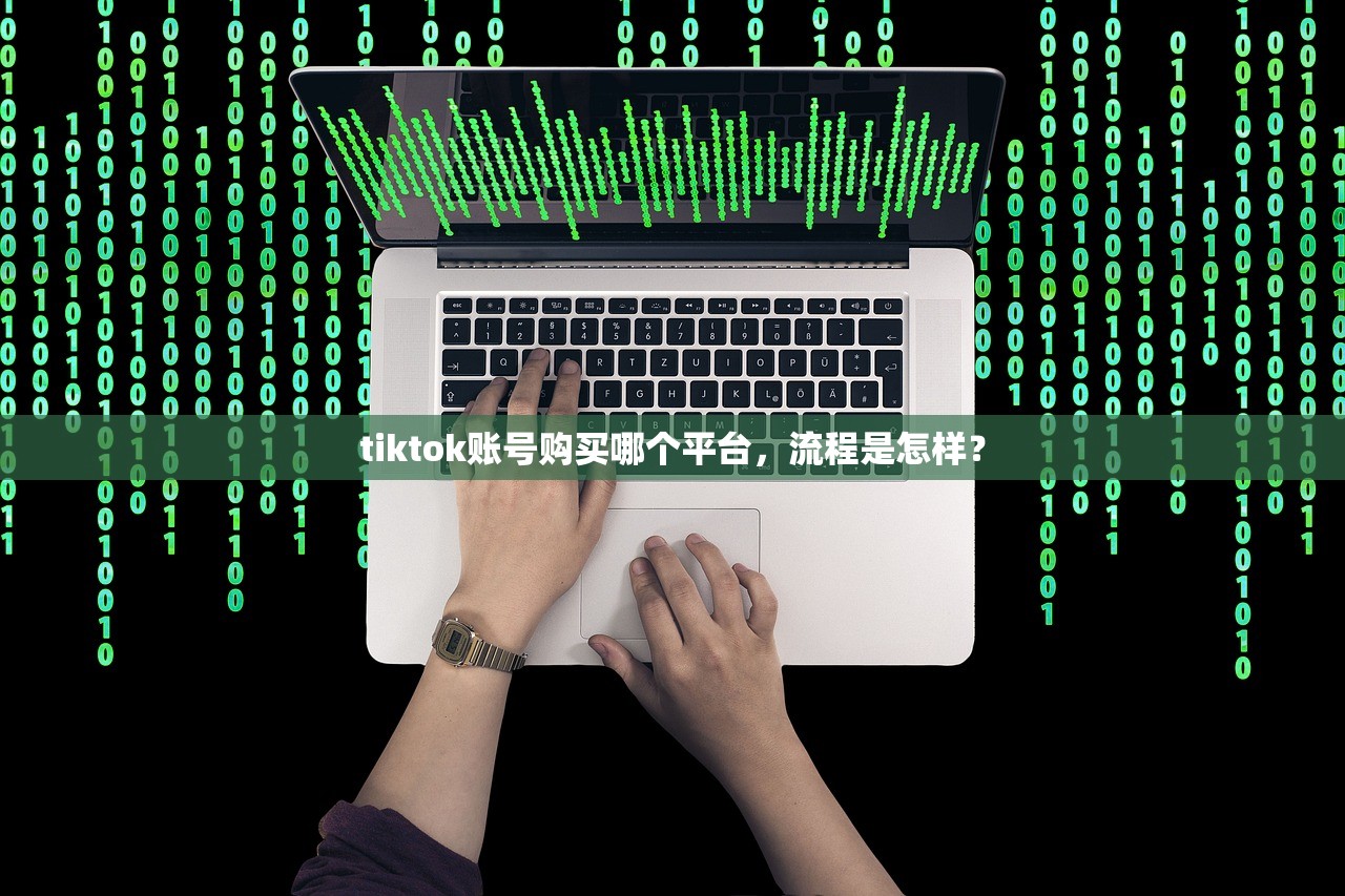 tiktok账号购买哪个平台,流程是怎样?