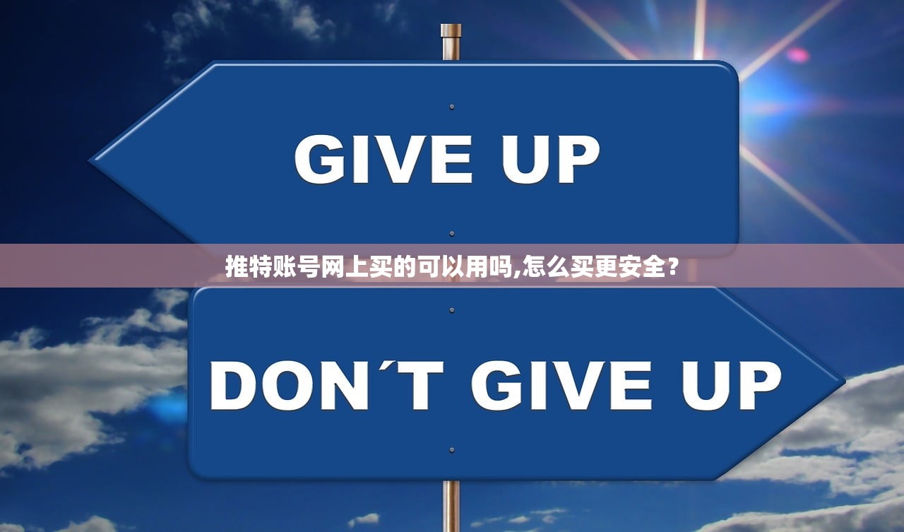 推特账号网上买的可以用吗,怎么买更安全？