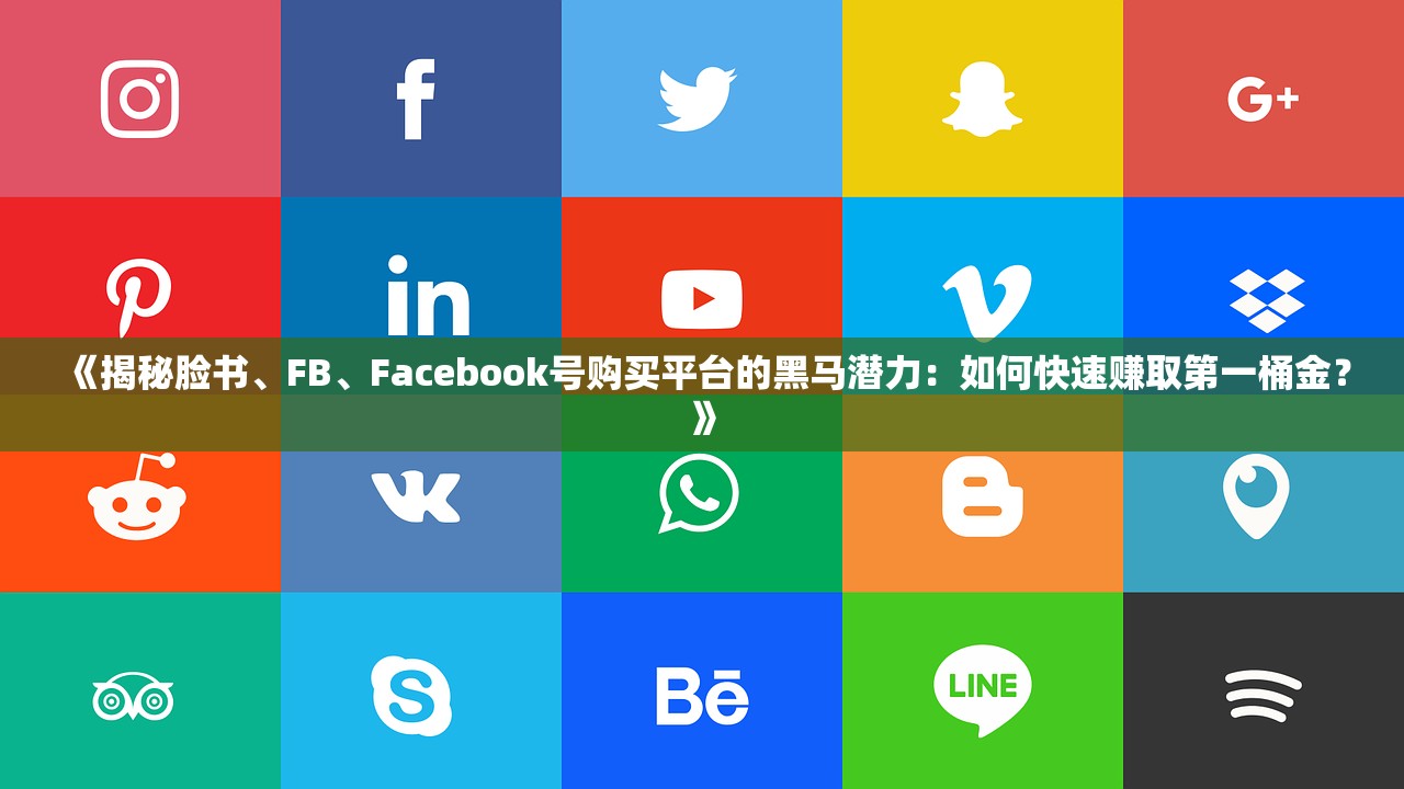 《揭秘脸书、FB、Facebook号购买平台的黑马潜力:如何快速赚取第一桶金?》